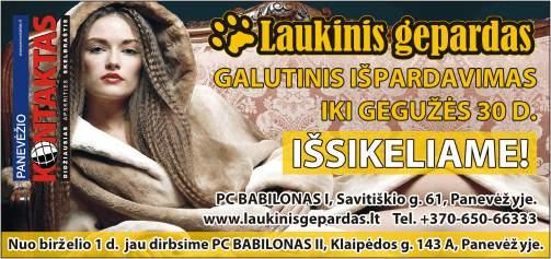 Laukinis gepardas 201.jpg